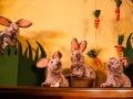 Ostern 2018 im Haus Unkelbach - Foto: Nina Simone Plum