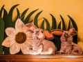 Ostern 2018 im Haus Unkelbach - Foto: Nina Simone Plum