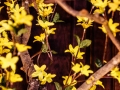 Ostern 2018 im Haus Unkelbach - Foto: Nina Simone Plum