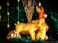 Ostern 2018 im Haus Unkelbach - Foto: Nina Simone Plum