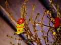 Ostern 2018 im Haus Unkelbach - Foto: Nina Simone Plum