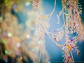 20161116-unkelbach-ninasimoneplum-54