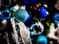 20161116-unkelbach-ninasimoneplum-59