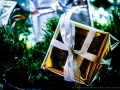 20161116-unkelbach-ninasimoneplum-76