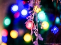 Haus Unkelbach xmas 2017 - Foto: NINA SIMONE PLUM