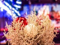 Haus Unkelbach xmas 2017 - Foto: NINA SIMONE PLUM