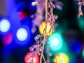 Haus Unkelbach xmas 2017 - Foto: NINA SIMONE PLUM