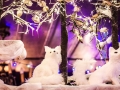 2018 Weihnachten im Haus Unkelbach • Foto: Nina Simone Plum