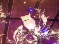 2018 Weihnachten im Haus Unkelbach • Foto: Nina Simone Plum