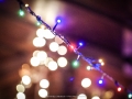 2018 Weihnachten im Haus Unkelbach • Foto: Nina Simone Plum