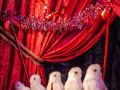 2018 Weihnachten im Haus Unkelbach • Foto: Nina Simone Plum