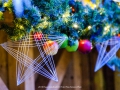2019-ninasimoneplum-xmas-127