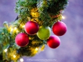 2019-ninasimoneplum-xmas-129