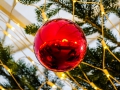 2019-ninasimoneplum-xmas-138