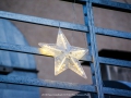 2019-ninasimoneplum-xmas-141