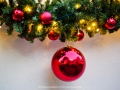2019-ninasimoneplum-xmas-144