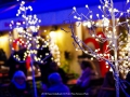 2019-ninasimoneplum-xmas-168