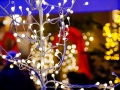 2019-ninasimoneplum-xmas-169
