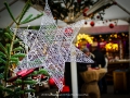 2019-ninasimoneplum-xmas-23