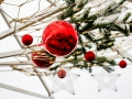 2019-ninasimoneplum-xmas-3