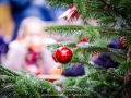 2019-ninasimoneplum-xmas-64