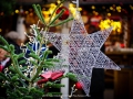 2019-ninasimoneplum-xmas-80