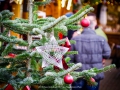 2019-ninasimoneplum-xmas-84