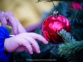 2019-ninasimoneplum-xmas-89