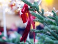 2019-ninasimoneplum-xmas-93