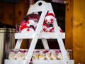 2019-ninasimoneplum-xmas-9